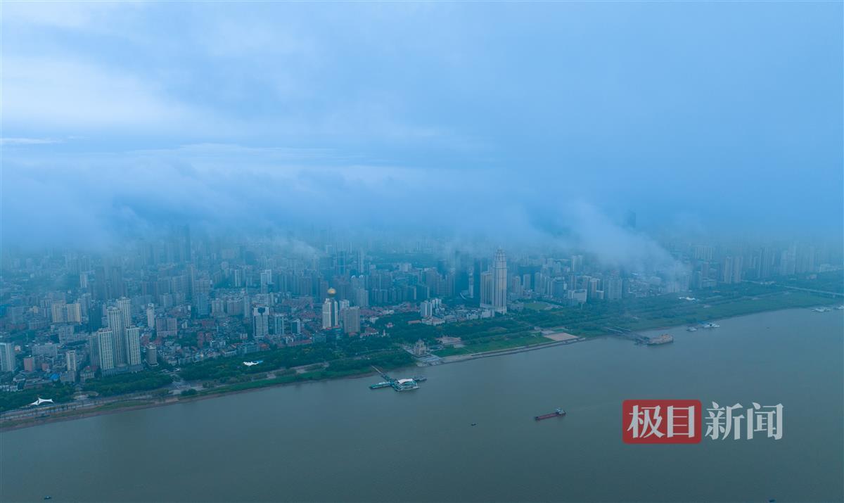 飞禽走兽赌币机游戏